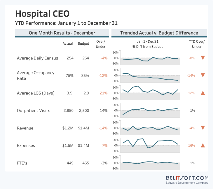 Diagram showing key elements of the Hospital CEO Dashboard