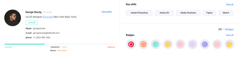 A personal profile where the number of earned badges is highlighted