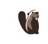 DBeaver icon