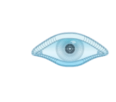 NMAP icon